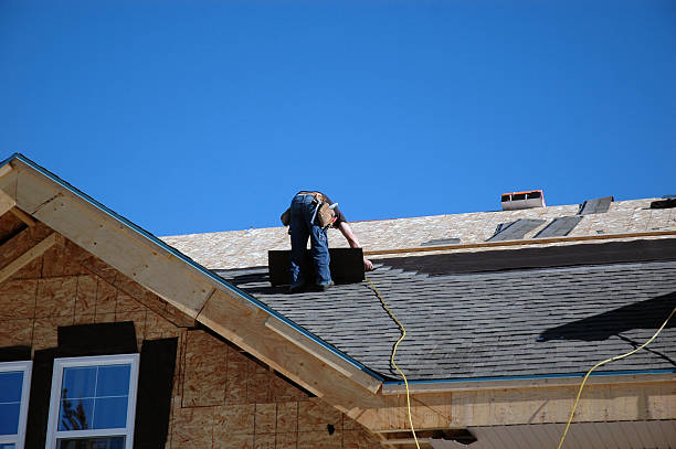 Best Roof Gutter Cleaning  in Gibsonburg, OH